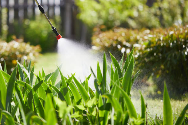 Tamper-Resistant Bait Stations for Rodents in Pine Knot